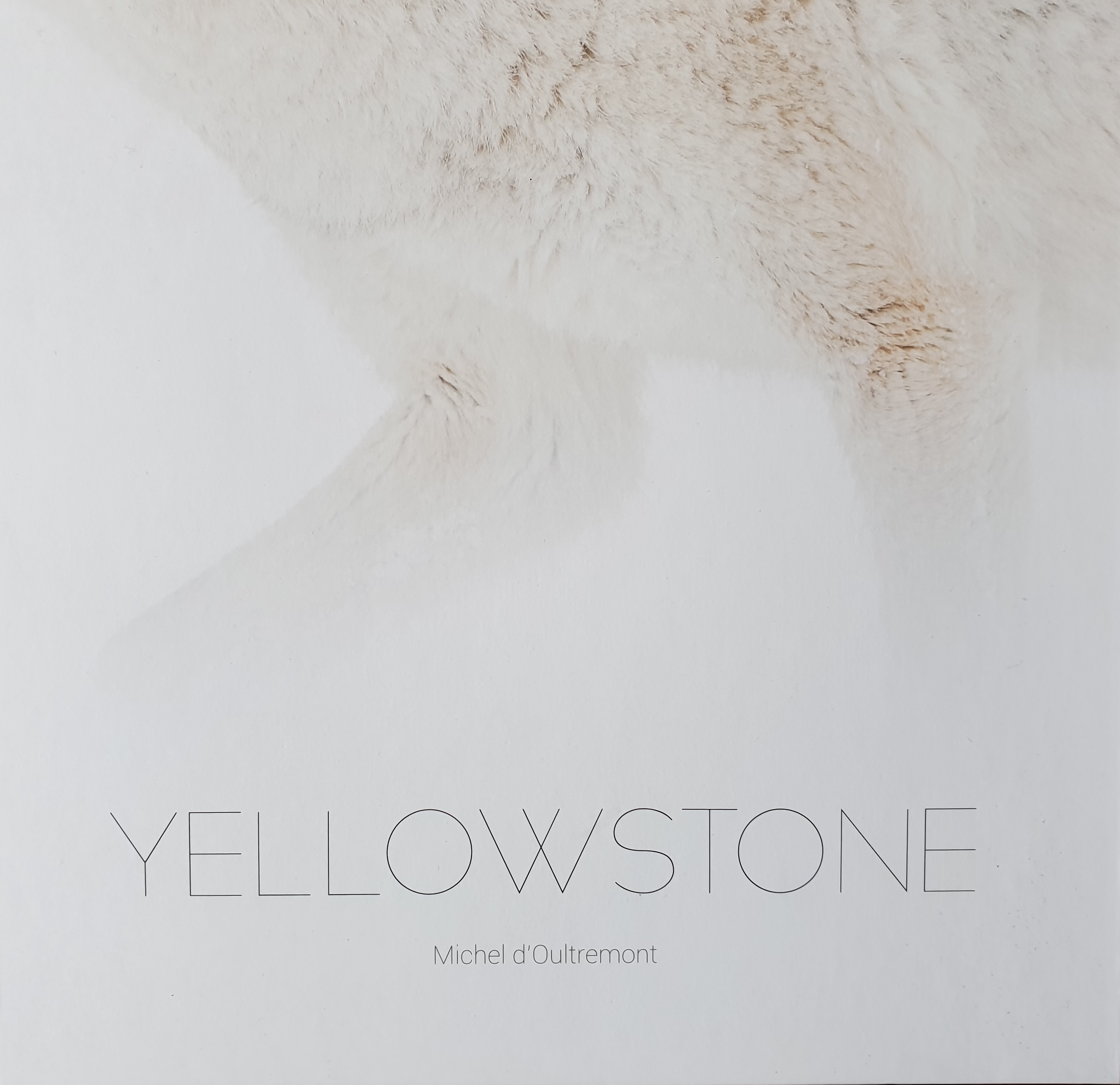 Couverture du livre Yellowstone
